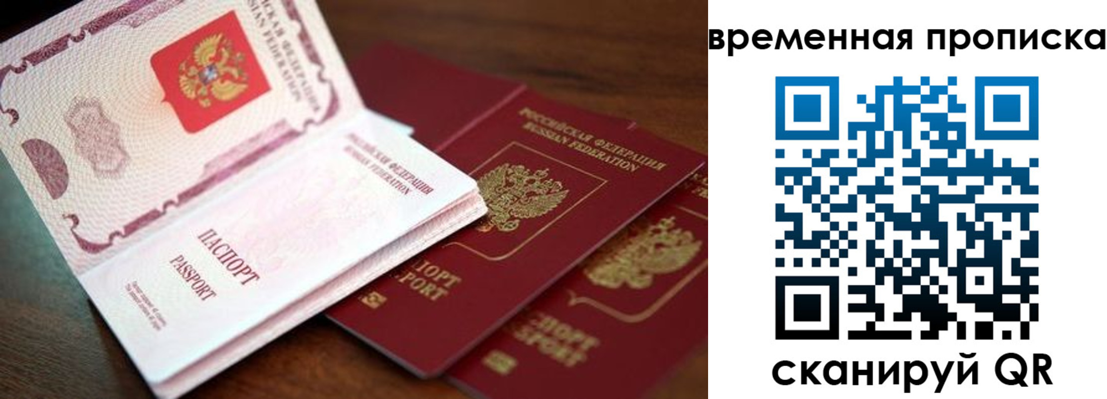 прописка гарантия в Обояни